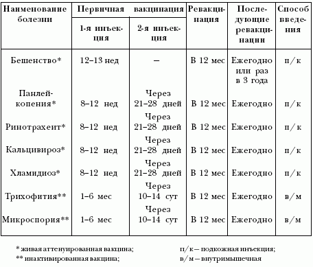 Доклад: Наиболее опасные инфекции у кошек или нужны ли кошкам прививки