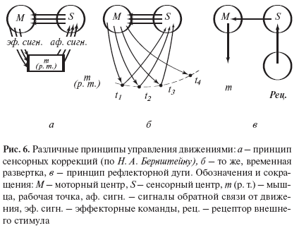 Статья: Психологическая теория деятельности: мотивационно-личностные аспекты деятельности, потребности, мотивы, особенные деятельности