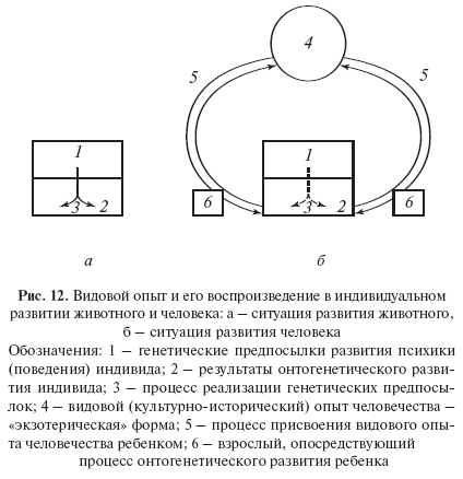 Статья: Психологическая теория деятельности: мотивационно-личностные аспекты деятельности, потребности, мотивы, особенные деятельности